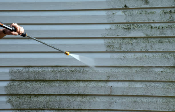 Best Mold Cleaning Services  in Williamsport, IN